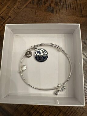 Alex and Ani Silver Expandable Bracelet with Navy Enamel Charm